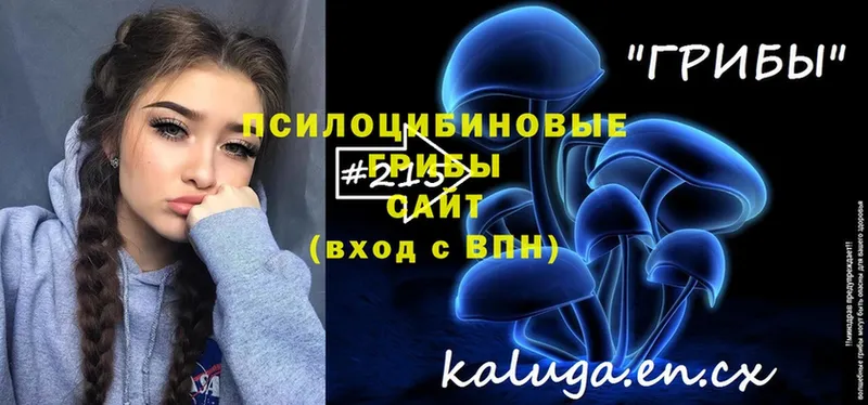 купить наркотики цена  даркнет формула  Псилоцибиновые грибы Cubensis  Вышний Волочёк 